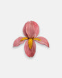 Broche en forma de flor de iris de Ciléa Paris, mostrando sus pétalos en rosa viejo con nervaduras blancas y su centro de textura granulada amarillo dorado.