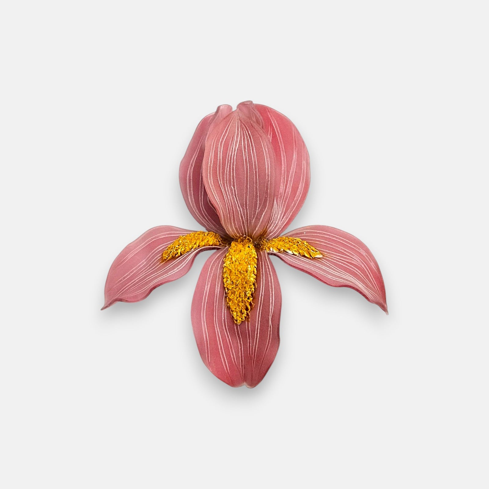 Broche en forma de flor de iris de Ciléa Paris, mostrando sus pétalos en rosa viejo con nervaduras blancas y su centro de textura granulada amarillo dorado.