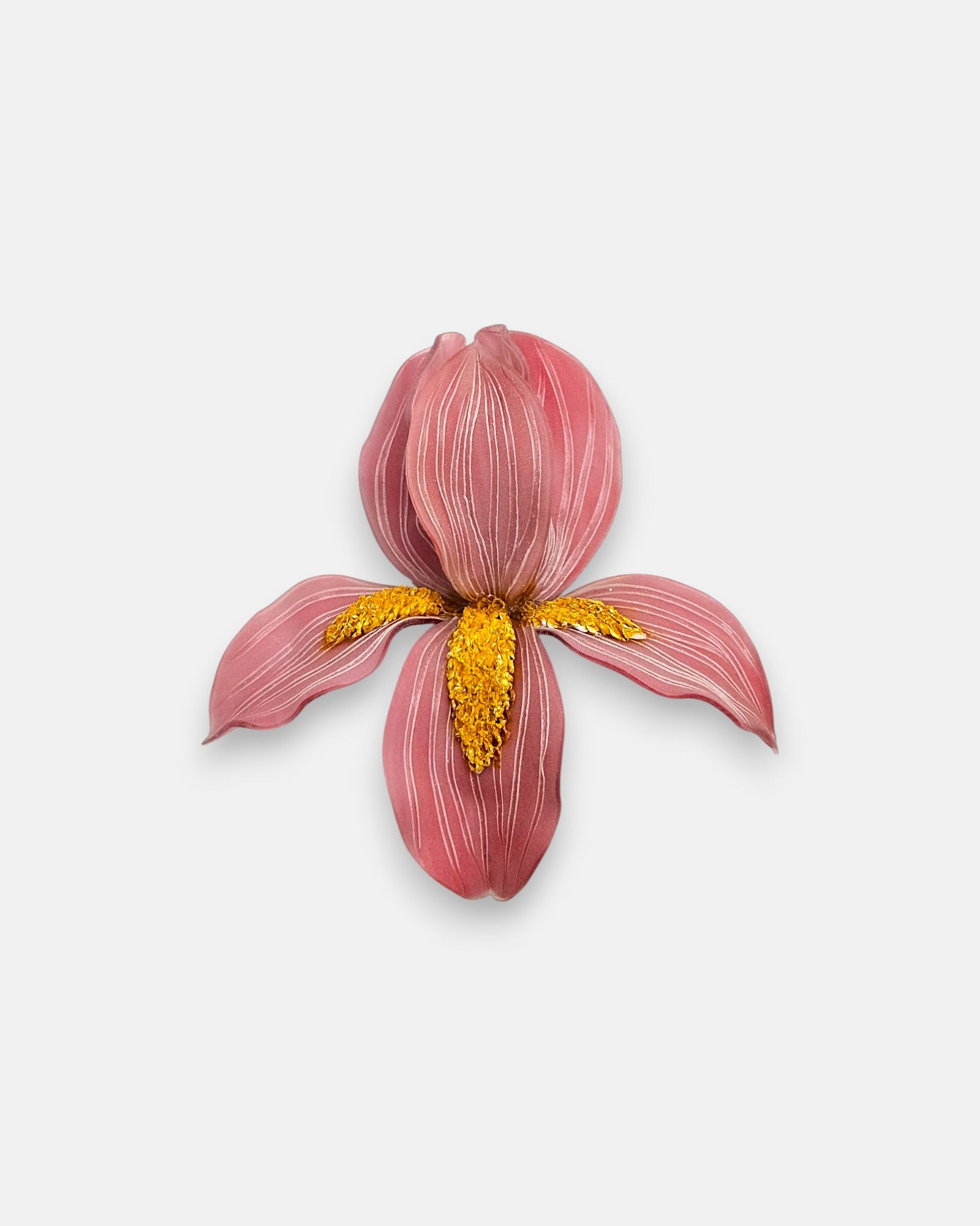 Broche en forma de flor de iris de Ciléa Paris, mostrando sus pétalos en rosa viejo con nervaduras blancas y su centro de textura granulada amarillo dorado.