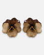  pareja de pendientes con forma de flor de pensamiento de Ciléa Paris, destacando sus pétalos superiores en marrón oscuro traslúcido y sus pétalos inferiores en color crema o beige de acabado brillante.