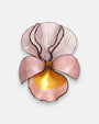 broche con forma de flor de iris sobre fondo neutro, destacando sus pétalos superiores en rosa nácar translúcido y su base en tonos rosa pastel y oro satinado.