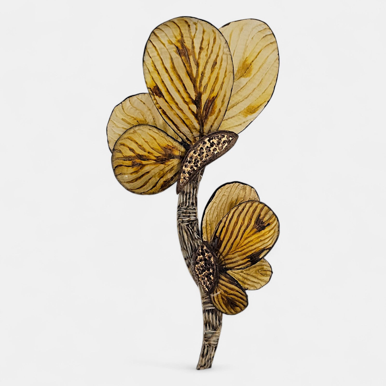 Broche Mamie en resina Ciléa