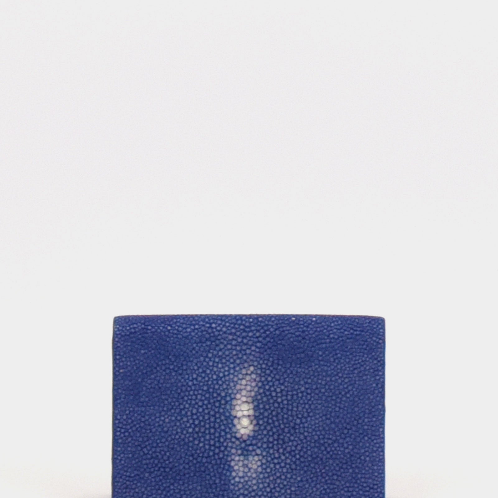 Tarjetero piel pez azul