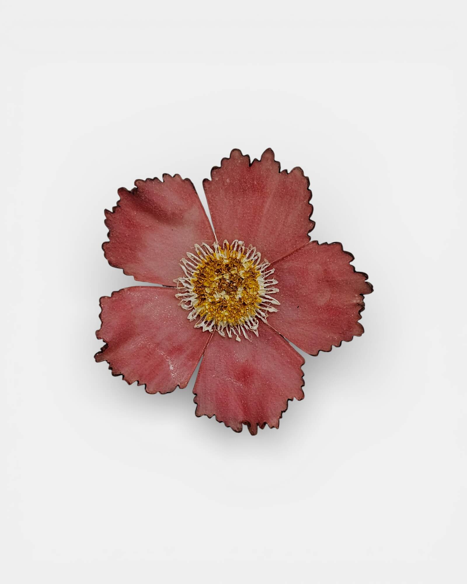 Broche artesanal flor silvestre rosa viejo sobre fondo blanco, joyería Sanci